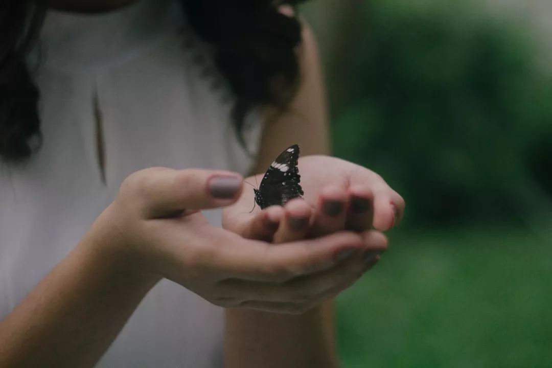 新冠后遗症大量涌现！患者尸检结果震惊全球，特朗普发布重要指令……(图28)